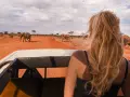 Kenia, lipiec. Słońce praży, a my w jeepie obserwujemy stado słoni na tle pomarańczowej sawanny. Idealna pogoda na safari!