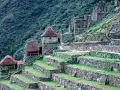 Kamienne tarasy i budowle Machu Picchu, porośnięte zielenią. Ciekawe machu picchu ciekawostki o inżynierii Inków.