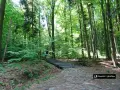 Kamienna ścieżka prowadzi do schodów w lesie, gdzie idą ludzie.
