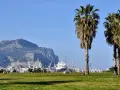 Sycylia we wrześniu: słoneczna pogoda, palmy, góra Monte Pellegrino i port z żurawiami.