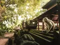 Małpi las w Ubud: małpa siedzi na kamiennych schodach przed świątynią, otoczona bujną zielenią.