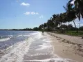 Piękna plaża na Kubie, idealna na wakacje. Kiedy najlepiej lecieć na Kubę? Właśnie wtedy, gdy słońce świeci, a fale delikatnie szumią.