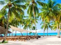 Rajska plaża z palmami i ławkami. Marzysz o wakacjach? Dominikana kiedy najtaniej?