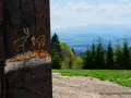 Rdzawy słup z rysunkami jeleni na tle górskiego krajobrazu.
