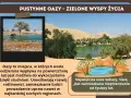 Oazy, zielone wyspy życia na pustyniach świata, oferują wodę i schronienie. Na zdjęciu widać zwierzęta pijące wodę i bujną roślinność.