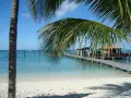 Palma nad krystalicznie czystą wodą, drewniany pomost prowadzący do restauracji na wodzie. To widok z jednych z najpiękniejszych plaż na świecie.