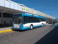 Niebiesko-biały autobus na tle budynku lotniska z żółtym napisem.