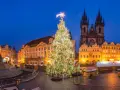 Jarmark bożonarodzeniowy w Pradze. Ogromna, oświetlona choinka na Rynku Staromiejskim, w tle gotycka architektura i zabytkowe kamienice.
