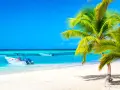Tropikalna plaża z palmami i łodziami na turkusowej wodzie.