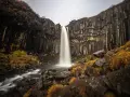 Wodospad Svartifoss, jeden z najpiękniejszych wodospadów świata, spływa kaskadą po bazaltowych kolumnach.