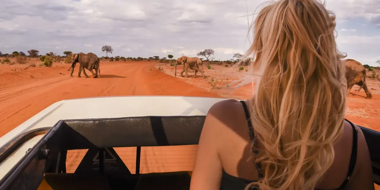 Kenia, lipiec. Słońce praży, a my w jeepie obserwujemy stado słoni na tle pomarańczowej sawanny. Idealna pogoda na safari!