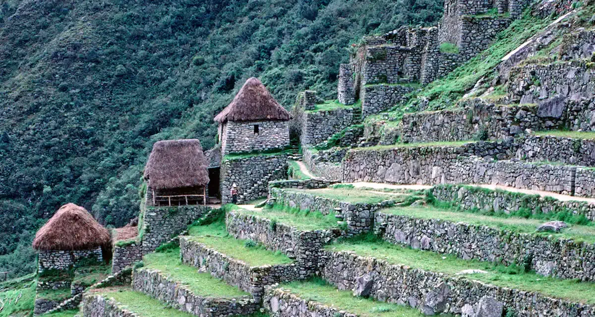 Kamienne tarasy i budowle Machu Picchu, porośnięte zielenią. Ciekawe machu picchu ciekawostki o inżynierii Inków.