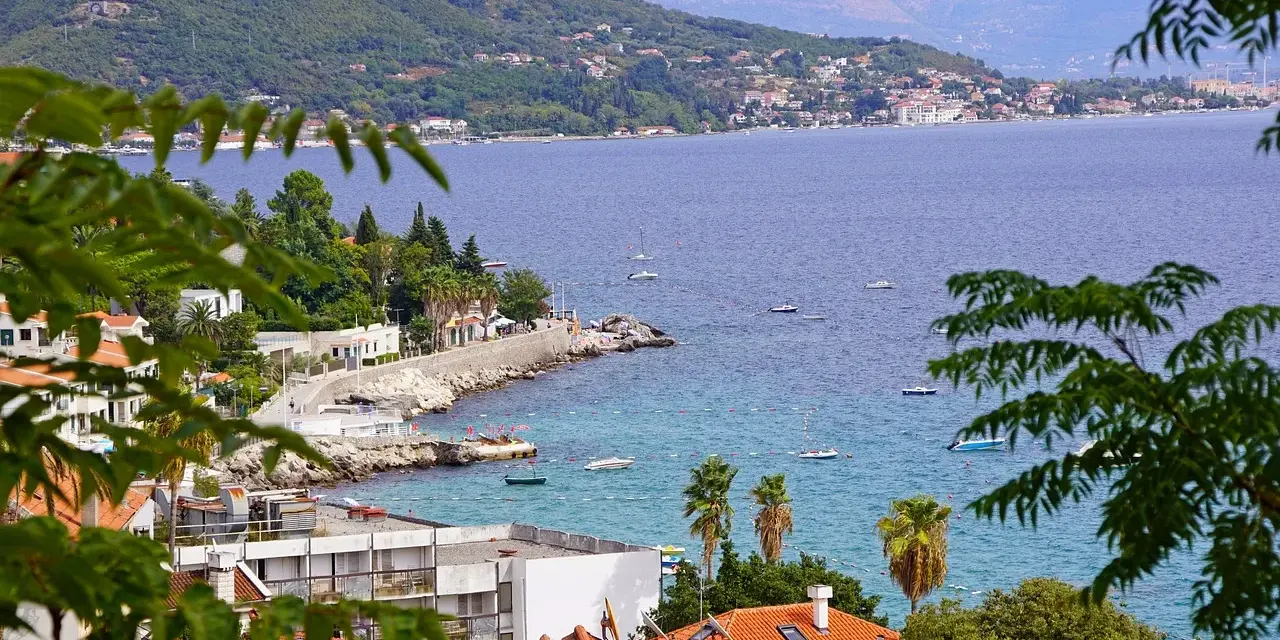 Widok na zatokę w Czarnogórze z łodziami, palmami i zabudowaniami na tle gór.