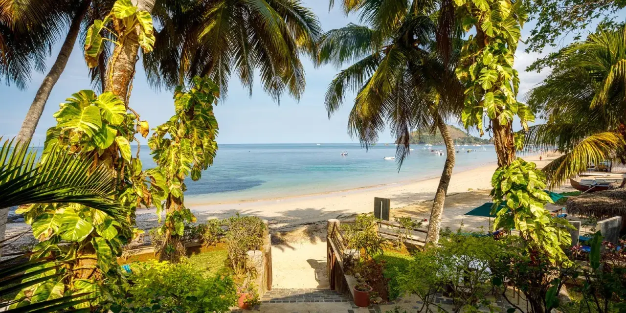 Rajska plaża na Madagaskarze, idealna na wakacje. Piękna pogoda roczna sprzyja relaksowi pod palmami.