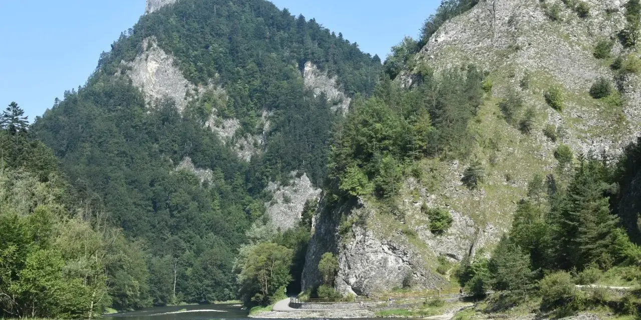 Rzeka Dunajec w Pieninach, otoczona stromymi, zalesionymi górami.