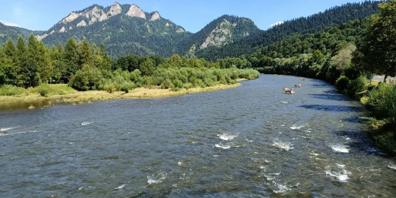 Rzeka Dunajec z tratwami i górami w tle.