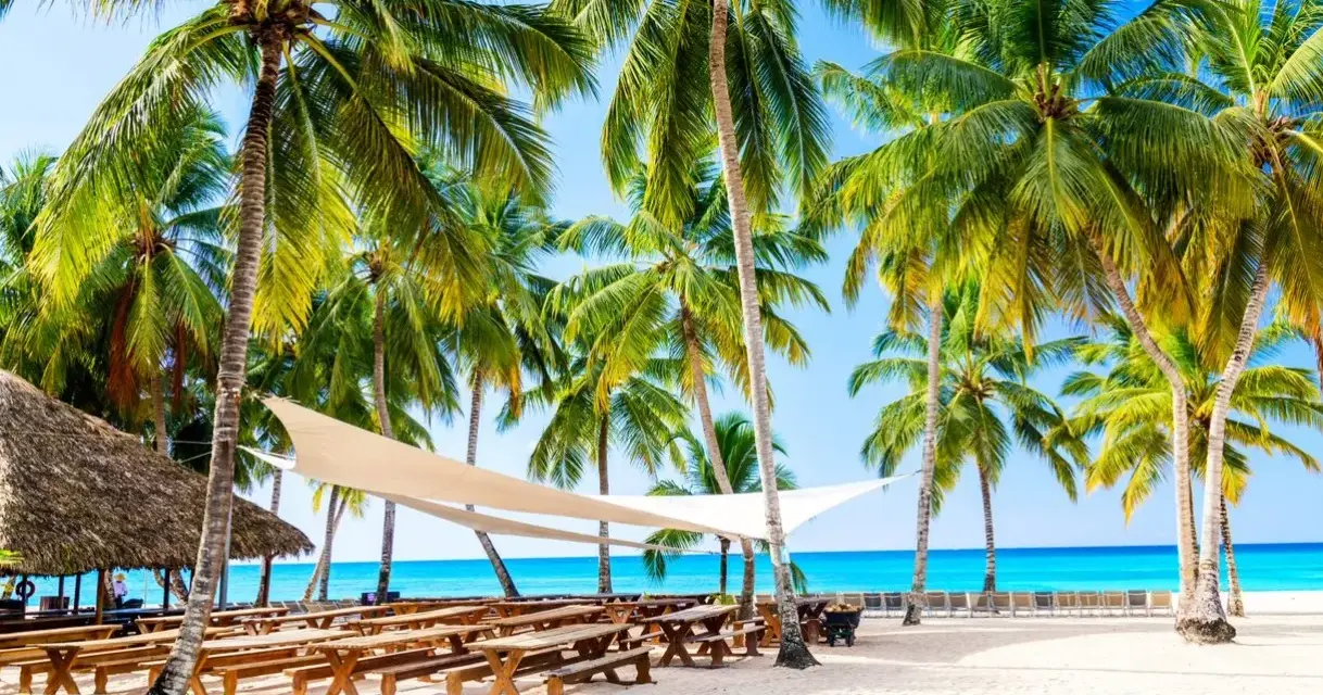 Rajska plaża z palmami i ławkami. Marzysz o wakacjach? Dominikana kiedy najtaniej?