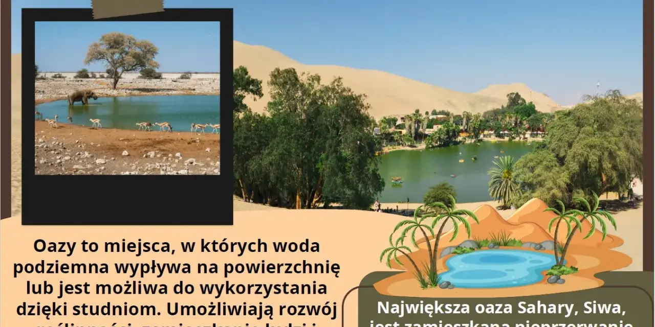 Oazy, zielone wyspy życia na pustyniach świata, oferują wodę i schronienie. Na zdjęciu widać zwierzęta pijące wodę i bujną roślinność.