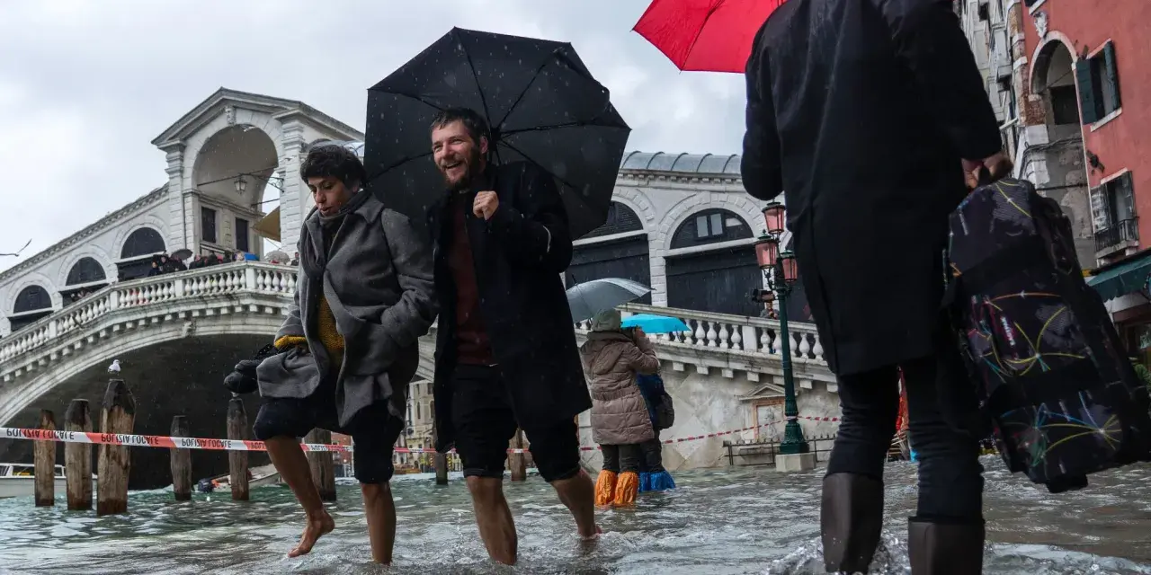 Ludzie brodzą w wodzie podczas acqua alta w Wenecji. Most Rialto w tle, deszcz i parasole.