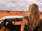 Kenia, lipiec. Słońce praży, a my w jeepie obserwujemy stado słoni na tle pomarańczowej sawanny. Idealna pogoda na safari!