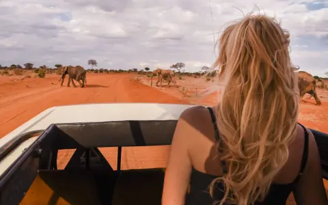 Kenia, lipiec. Słońce praży, a my w jeepie obserwujemy stado słoni na tle pomarańczowej sawanny. Idealna pogoda na safari!