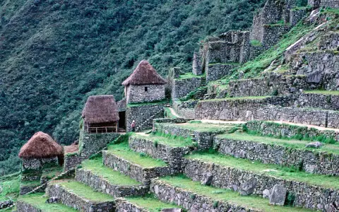 Kamienne tarasy i budowle Machu Picchu, porośnięte zielenią. Ciekawe machu picchu ciekawostki o inżynierii Inków.