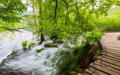Drewniana ścieżka wije się wzdłuż kaskad i turkusowej wody. Park Narodowy Jezior Plitwickich zachwyca bujną zielenią i szumem wodospadów.
