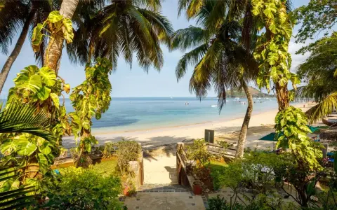 Rajska plaża na Madagaskarze, idealna na wakacje. Piękna pogoda roczna sprzyja relaksowi pod palmami.