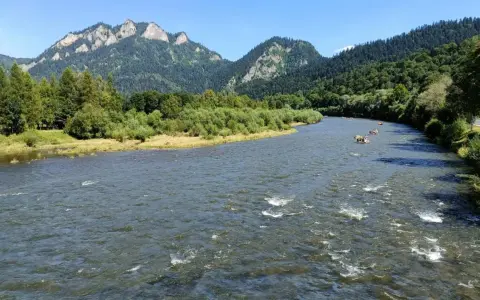 Rzeka Dunajec z tratwami i górami w tle.