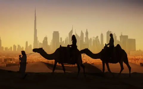 Karawana wielbłądów na tle Dubaju, miasta na kontynencie azjatyckim.