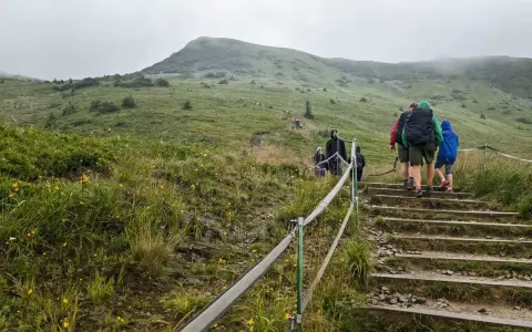 Grupa turystów wchodzi po kamiennych schodach na zielone wzgórze w mglisty dzień.