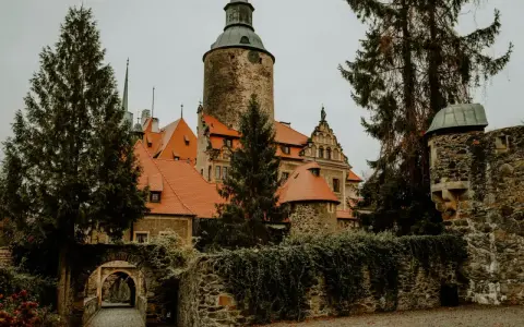 Kamienny zamek z wieżą i czerwonymi dachami, otoczony drzewami i murem.