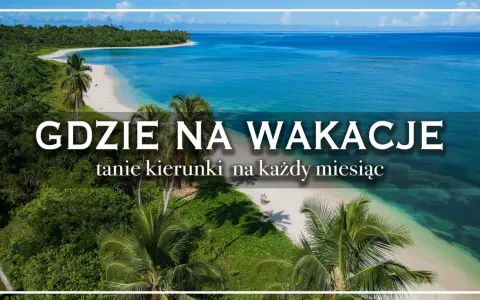 Tropikalna plaża z palmami i turkusową wodą, z napisem "Gdzie na wakacje".