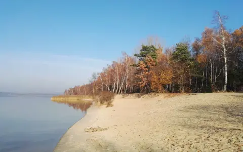 Piękna plaża i las nad jeziorem, idealne na spacer. Odkryj fajne miejsca w okolicach Oświęcimia.
