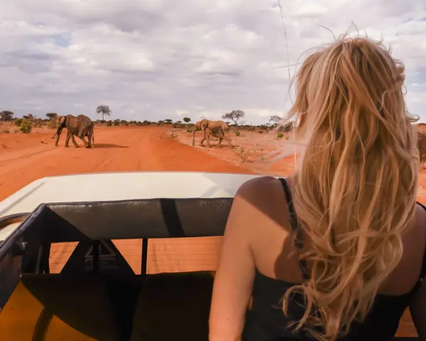 Kenia, lipiec. Słońce praży, a my w jeepie obserwujemy stado słoni na tle pomarańczowej sawanny. Idealna pogoda na safari!