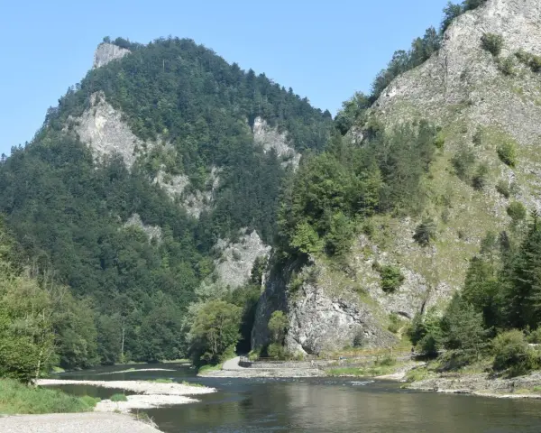 Rzeka Dunajec w Pieninach, otoczona stromymi, zalesionymi górami.