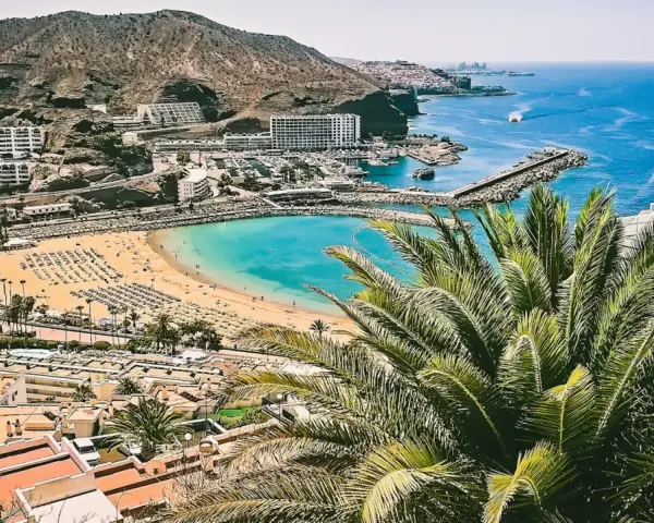 Widok na zatokę z plażą, hotelami i palmami na Gran Canarii.