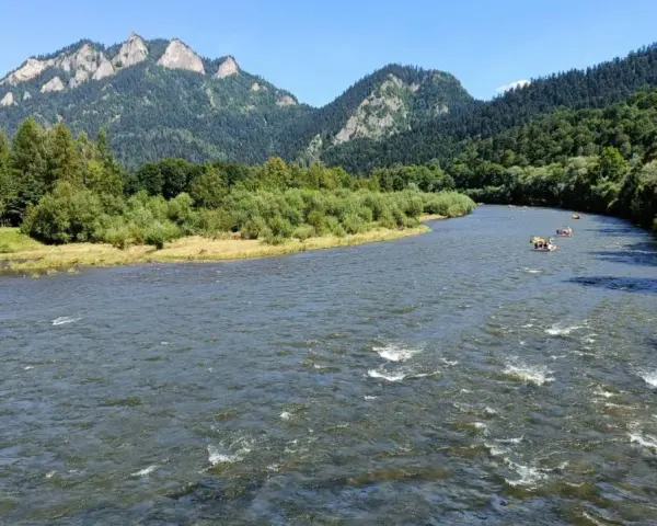 Rzeka Dunajec z tratwami i górami w tle.