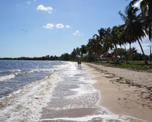 Piękna plaża na Kubie, idealna na wakacje. Kiedy najlepiej lecieć na Kubę? Właśnie wtedy, gdy słońce świeci, a fale delikatnie szumią.