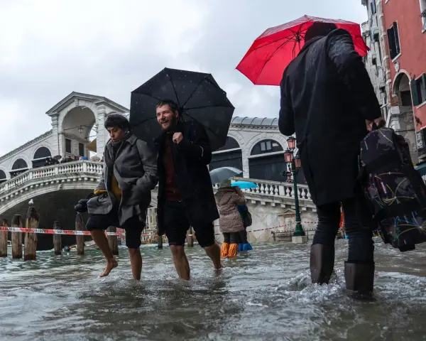 Ludzie brodzą w wodzie podczas acqua alta w Wenecji. Most Rialto w tle, deszcz i parasole.