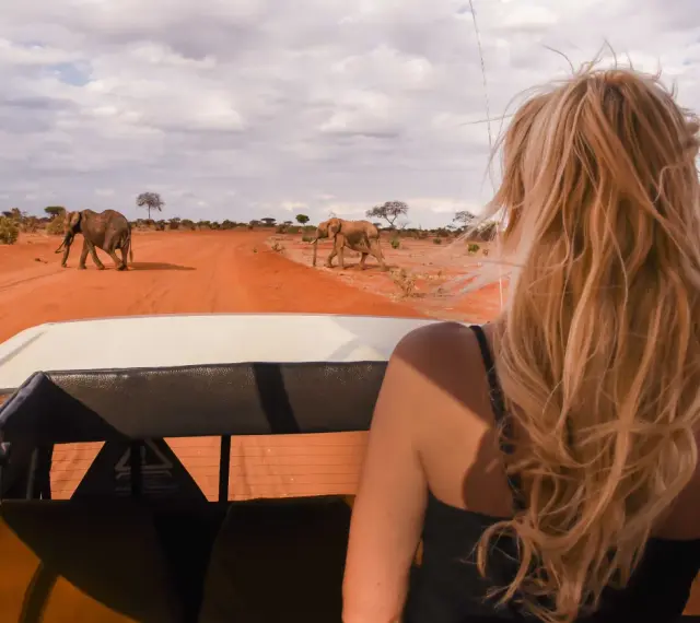 Kenia, lipiec. Słońce praży, a my w jeepie obserwujemy stado słoni na tle pomarańczowej sawanny. Idealna pogoda na safari!