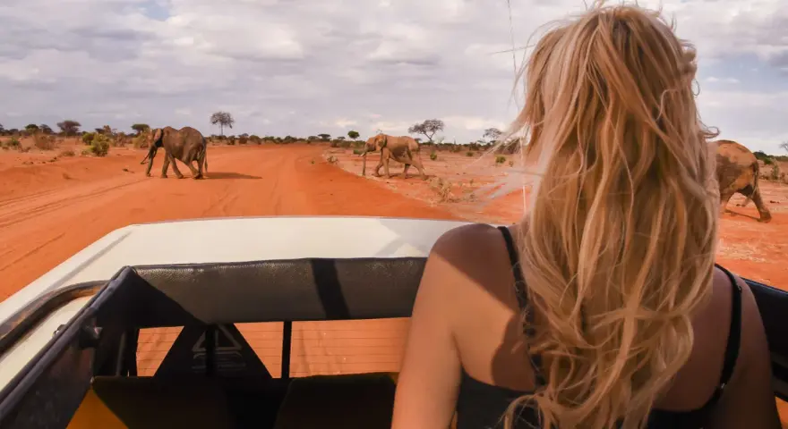 Kenia, lipiec. Słońce praży, a my w jeepie obserwujemy stado słoni na tle pomarańczowej sawanny. Idealna pogoda na safari!