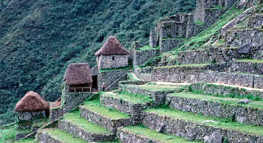 Kamienne tarasy i budowle Machu Picchu, porośnięte zielenią. Ciekawe machu picchu ciekawostki o inżynierii Inków.