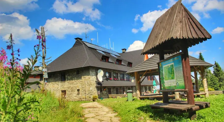 Kamienny schronisko na Turbaczu z dzieckiem w tle, otoczone zielenią i kwitnącymi kwiatami.