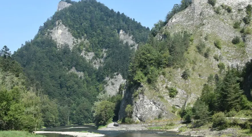 Rzeka Dunajec w Pieninach, otoczona stromymi, zalesionymi górami.