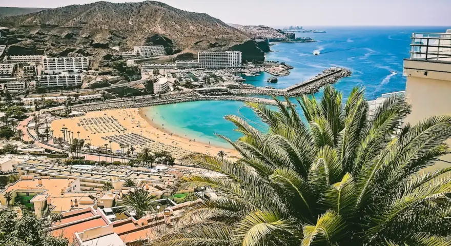 Widok na zatokę z plażą, hotelami i palmami na Gran Canarii.