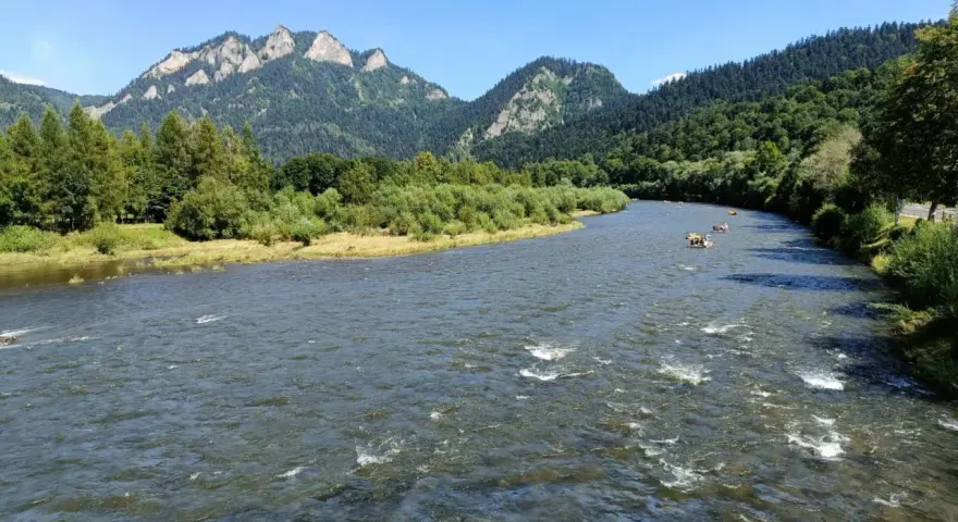 Rzeka Dunajec z tratwami i górami w tle.