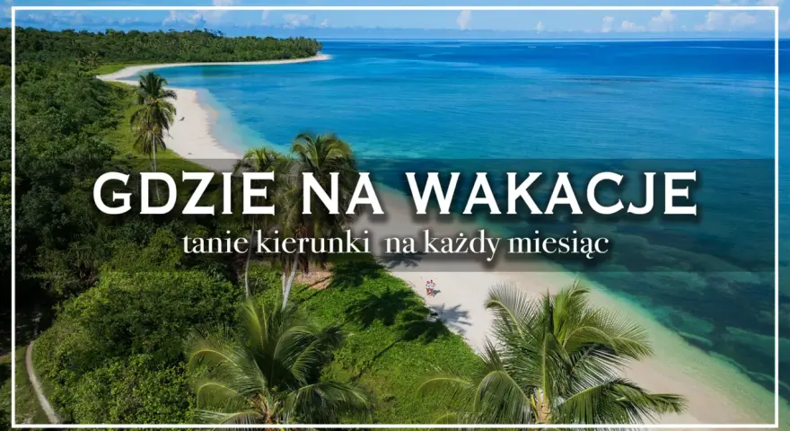 Tropikalna plaża z palmami i turkusową wodą, z napisem "Gdzie na wakacje".