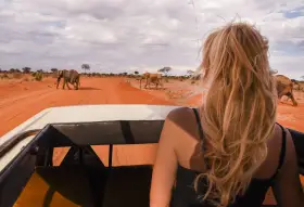 Kenia, lipiec. Słońce praży, a my w jeepie obserwujemy stado słoni na tle pomarańczowej sawanny. Idealna pogoda na safari!