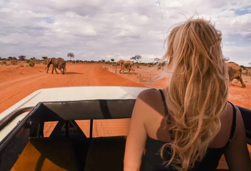 Kenia, lipiec. Słońce praży, a my w jeepie obserwujemy stado słoni na tle pomarańczowej sawanny. Idealna pogoda na safari!